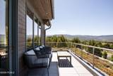3125 Horse Mountain Circle - Photo 47