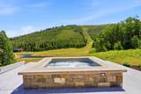 302 White Pine Canyon Road - Photo 98