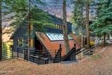 3009 Black Forest Road - Photo 39