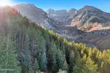3009 Black Forest Road - Photo 40