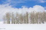 17017 Ant Flat Road - Photo 106