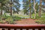 401 Silver King Drive - Photo 7