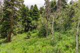 2241 Forest Meadow Road - Photo 10