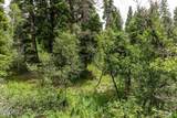 2241 Forest Meadow Road - Photo 12