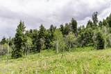 2241 Forest Meadow Road - Photo 17