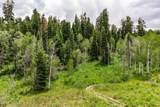 2241 Forest Meadow Road - Photo 4