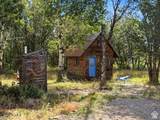 2569 Bull Moose Drive - Photo 40