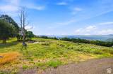 2569 Bull Moose Drive - Photo 45