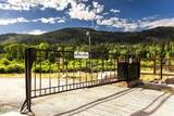 8426 Weber Drive - Photo 4