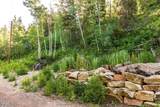 8426 Weber Drive - Photo 5