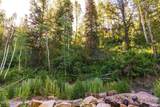 8426 Weber Drive - Photo 7