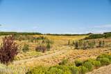 1671 Westward Ho Road - Photo 6