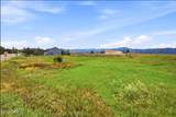 6365 Parkridge Drive - Photo 14