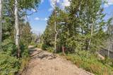 7964 Bristlecone Drive - Photo 45