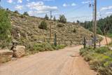 7964 Bristlecone Drive - Photo 50