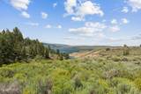 7964 Bristlecone Drive - Photo 51