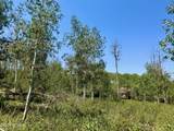 10775 Tanglewood Drive - Photo 4