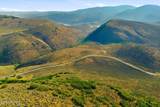 4792 Galts Gulch - Photo 4