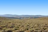 4792 Galts Gulch - Photo 6