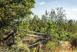 Lot 73 Kamas - Photo 17