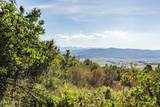 Lot 73 Kamas - Photo 5