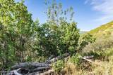 Lot 73 Kamas - Photo 7