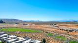 3195 Endless Trail - Photo 15