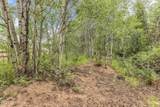 4611 Conifer Drive - Photo 27