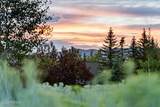3300 Tatanka Trail - Photo 47