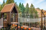 6569 Moon Light Drive - Photo 46