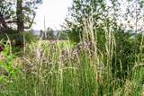 1040 High Country Lane - Photo 34