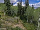 1826 Alexander Canyon - Photo 19