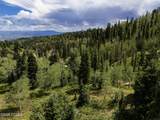 1826 Alexander Canyon - Photo 21