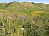 1697 Marmot Lane - Photo 17