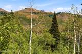 1697 Marmot Lane - Photo 22