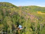 1697 Marmot Lane - Photo 3