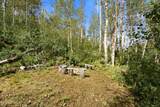 1697 Marmot Lane - Photo 5