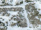 276 White Pine Canyon Road - Photo 8