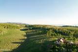 11042 Wild Elk Meadow - Photo 87