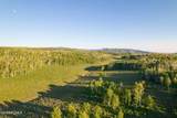 11042 Wild Elk Meadow - Photo 89