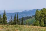 325 White Pine Canyon Road - Photo 15