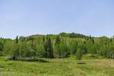 325 White Pine Canyon Road - Photo 17
