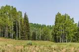 325 White Pine Canyon Road - Photo 20