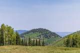 325 White Pine Canyon Road - Photo 23