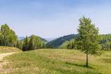 325 White Pine Canyon Road - Photo 25