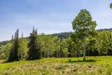 325 White Pine Canyon Road - Photo 27