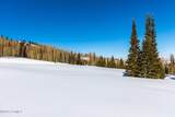 325 White Pine Canyon Road - Photo 3