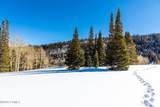 325 White Pine Canyon Road - Photo 6