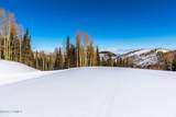 325 White Pine Canyon Road - Photo 8