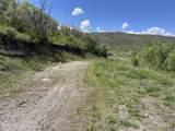 5012 Sheep Dog Trail - Photo 17